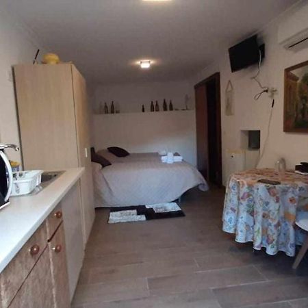 Casa Das Matriarcas - Casa Da Avo Benvinda Belmonte  Luaran gambar